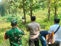 Kakek 70 Tahun di Jombang Ditemukan Tewas Gantung Diri di Pohon Jati