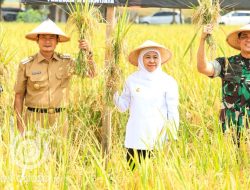 Khofifah Apresiasi Kampung Pandu, Siap Replikasi Pertanian Terpadu di Jatim