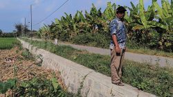 pembangunan_TPJ_di_desa_kesamben_jombang