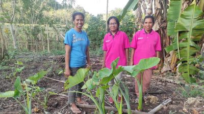 Kembangkan Potensi Tanaman Herbal di Desa Untuk Peningkatan Kesehatan
