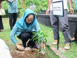 Ketua TP PKK Kabupaten Magelang Tanam Pohon Dalam Program Rabu Pon
