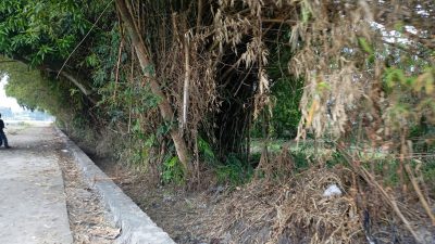Pemdes Tanjunggunung Jombang Bangun TPT Jalan Usaha Tani Dari BKK 2025