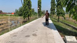 proyek-pembangunan-jalan-rabat-beton-di-jombang