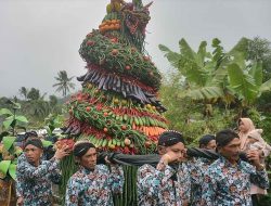 Tradisi Ritual Manten Tembakau di Lereng Gunung Sumbing Magelang