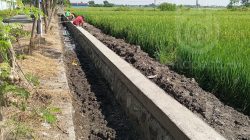 pembangunan-tpt-di-desa-dapurkejambon-jombang-jatim