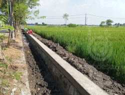 Pemdes Dapurkejambon Jombang Rampungkan Pembangunan Infrastruktur Irigasi dan TPT