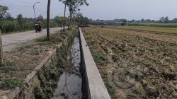 pembangunan-tpt-di-desa-janti-jombang-jatim pembangunan-tpt-di-desa-janti-jombang-jatim