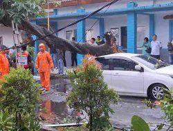 Pohon Tumbang Timpa Mobil Guru UPT BLK Mojokerto