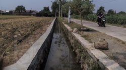 proyek_tpt_di_desa_janti_jombang_jatim proyek_tpt_di_desa_janti_jombang_jatim