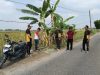 Heboh, Bayi Perempuan Ditemukan Dalam Kardus di Pinggir Jalan Desa Gro’om Pamekasan