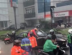 Pohon Tumbang di Jaksel Timpa Mobil Lexus Hingga Ringsek, Pengemudi Tewas