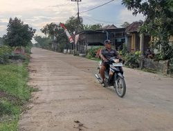 Pemdes Jatiduwur Jombang Bangun Jalan Rabat Beton
