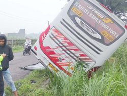 Diduga Sopir Mengantuk, Bus Mira Masuk ke Parit di Jombang