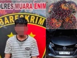 Curi Sawit, Warga OKU Ditangkap Polres Muara Enim