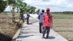 pembangunan-jalan-usaha-tani-di-desa-kedungjati-jombang