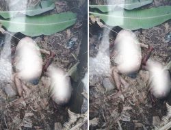 Ibu & Anak Ditemukan Tewas di Bekas Bangunan Aspol Jombang