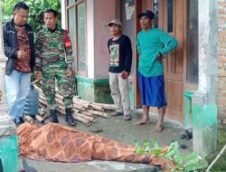 Dua Buruh Tani di Jombang Disambar Petir Saat Angkut Padi, Satu Tewas