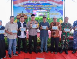 Penanaman Jagung Serentak Kuartal I 2026 di Jombang