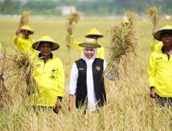 Antisipasi Kemarau : Gubernur Khofifah Minta Kepala Daerah se-Jatim Jaga Produksi Pertanian