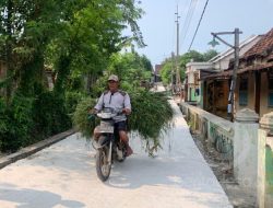 Pemdes Mojodanu Jombang Gunakan Program “Desa Mantra” Bangun Jalan Rabat Beton