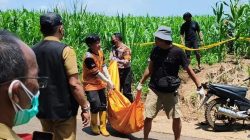 Temuan Mayat Diladang Jagung di Jombang, Jazad Membusuk Dikerubuti Belatung