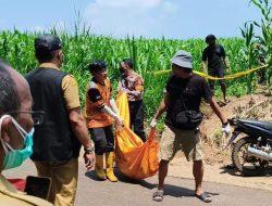 Temuan Mayat Diladang Jagung di Jombang, Jazad Membusuk Dikerubuti Belatung