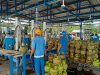 KESDM : Harga LPG Subsidi Tak Ada Perubahan Meski Rupiah Melemah