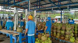 KESDM : Harga LPG Subsidi Tak Ada Perubahan Meski Rupiah Melemah