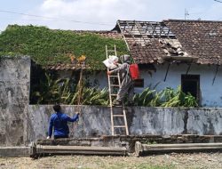 Respons Cepat Laporan Warga, BPBD Jombang Evakuasi Sarang Tawon Vespa di Desa Gondek