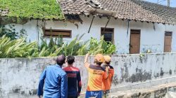 evakuasi-sarang-tawon-vespa-di-desa-gondek-jombang (3)