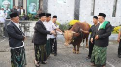 perayaan-idul-adha-1447-H-di-jombang-jatim (4) perayaan-idul-adha-1447-H-di-jombang-jatim (4)