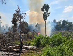 Petani Lubuklinggau Ditangkap Usai Kedapatan Buka Lahan Dengan Cara Dibakar