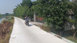 proyek-jalan-rabat-beton-di-Kedungrejo-jombang