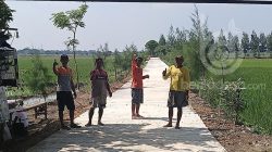 proyek-jalan-usaha-tani-di-desa-pojokrejo-jombang