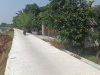 Pemdes Kedungrejo Jombang Bangun Jalan Rabat Beton