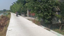 Pemdes Kedungrejo Jombang Bangun Jalan Rabat Beton