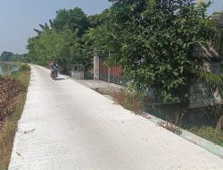 Pemdes Kedungrejo Jombang Bangun Jalan Rabat Beton
