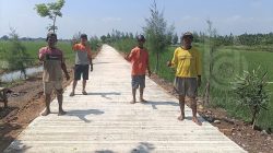 proyek_jalan_usaha_tani_di_desa_pojokrejo_jombang