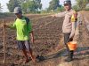 Polsek Kudu Lakukan Pendampingan Penanaman Benih Jagung