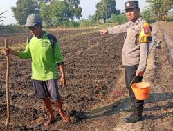 Polsek Kudu Lakukan Pendampingan Penanaman Benih Jagung