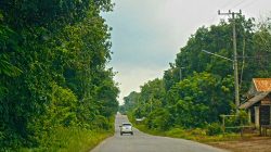 Empat Pelaku Pungli Jalan Lintas Belimbing–Sekayu Disikat Polsek Gunung Megang