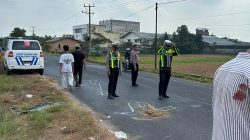 Kecelakaan Maut Pikap L 300 Terguling di OKU Timur, 2 Tewas
