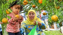 Desa Wisata Punten Kota Batu: Menjahit Potensi Lokal Jadi Sejuta Pesona