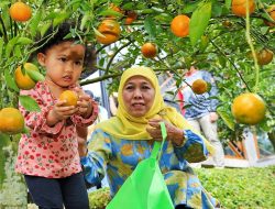 Desa Wisata Punten Kota Batu: Menjahit Potensi Lokal Jadi Sejuta Pesona