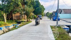 Maksimalkan Dana BKK APBD 2026: Pemdes Podoroto Jombang Bangun Jalan Rabat Beton di Dua Titik