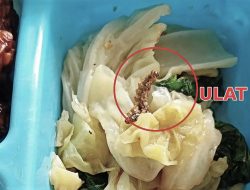 Ditemukan Ulat Mati di Menu MBG Jombang, Pengelola Langsung Ganti Paket