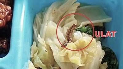 Ditemukan Ulat Mati di Menu MBG Jombang, Pengelola Langsung Ganti Paket