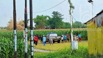 Geger! Warga Kepuhkembeng Jombang Temukan Mayat Pria Membusuk di Ladang Jagung, Diduga Warga Yang Hilang Sepekan